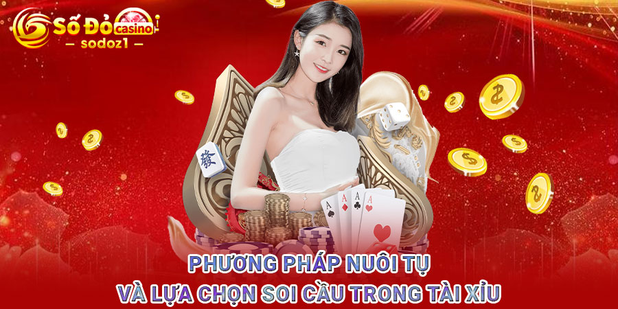 Phương pháp nuôi tụ và lựa chọn soi cầu trong tài xỉu