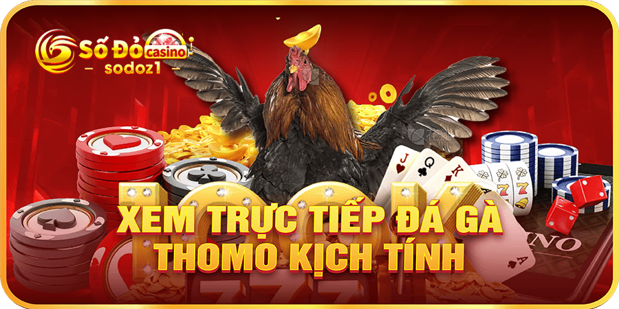 Xem trực tiếp đá gà Thomo kịch tính